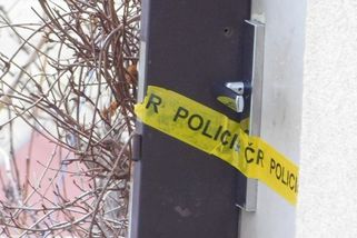 Čachry s byty v Brně jely jako promazaný stroj - Novinky