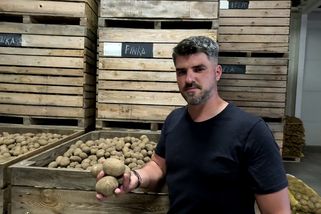 Pěstuje brambory v kraji vinařů. Láká na ně první borůvkovou plantáží - Seznam Zprávy