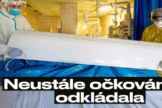 Okamžitě tu nechutnou kampaň zastavte, píše rektor ČVUT Vojtěchovi - Novinky