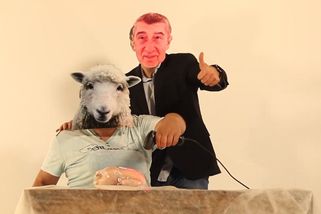 Jsme pro Babiše ovce? Hudebník se trefuje do vlády chytlavým songem | Zajímavá videa