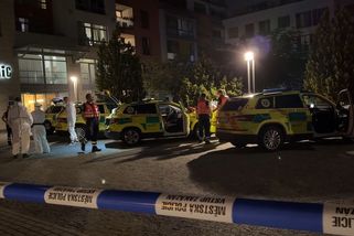 Manévry záchranářů v Roztokách u Prahy. U desítek lidí je podezření na meningitidu - Novinky