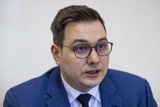 Pacifista Babiš začíná být ohrožením země, míní Lipavský. Orel mouchy nelapá, kontruje šéf ANO - Novinky