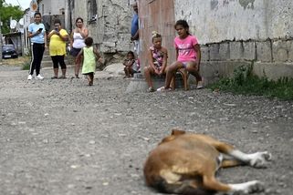 „Je to ostuda.“ Europoslanci navštívili romské osady na východě Slovenska - Novinky