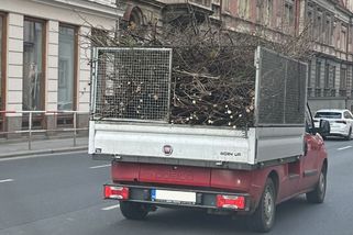 TMBK: Andrej Babiš se už začíná stěhovat na Pražský hrad - Seznam Zprávy