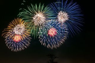 Novoroční ohňostroje aneb důkaz omezenosti lidské rasy - Médium.cz