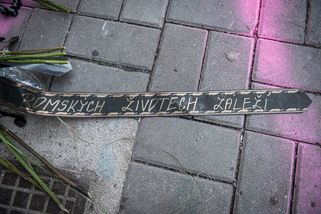 Teplická kauza prohlubuje nedůvěru Romů ve státní instituce