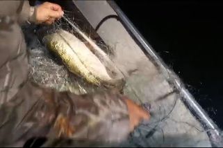 Ukrajinci se u nás vrhli na rybaření. Laciný zdroj obživy, pochvalují si - Novinky