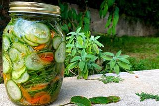 Nakládačky bez zavařování a sterilizace sklenic. Okurkovou chuťovku můžete jíst už druhý den | Menutovka