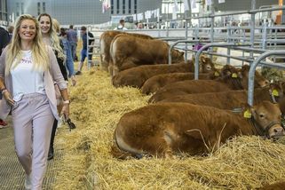 Úsměv od ucha k uchu si drží kdekoli: Lucie Borhyová se fotila mezi krávami - Super.cz