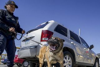 Totalitní režimy vyvíjejí nové syntetické drogy. Používají je v boji proti Západu — HlídacíPes.org