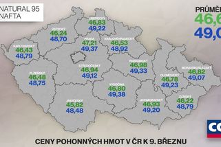 Nafta stojí v průměru už přes 49 korun a růst cen nekončí - Novinky