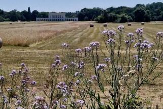 CHKO Soutok jde zrušit jen nelegální cestou, oponuje Macinkovi hejtman Grolich - Novinky