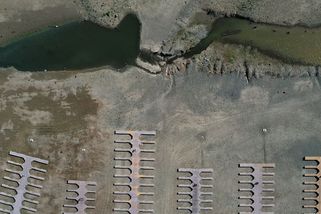 Na západě USA je tak velké sucho, že i lososi musí k oceánu po silnici - Seznam Zprávy