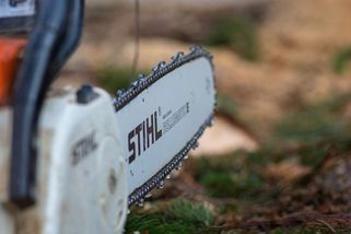 Americký masakr motorovou pilou: Muskova vize státní správy pro Česko? - Médium.cz