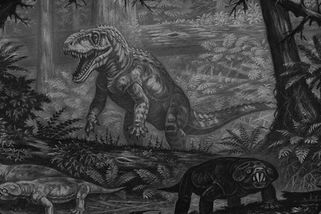 Saurosuchus: Veleještěr v triasu, velikostí by Postosucha překonal - Médium.cz