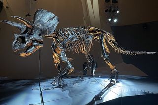 Změna pohlaví, jedovaté sliny a chybějící lysin - biologie Jurského parku - Médium.cz