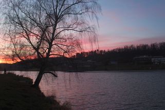 Pražská ODS se brání kritice: Džbán musel do dražby - Novinky