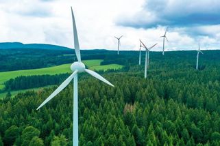 Zelená energie na úkor lesa. V Bavorsku řeší dilema s větrníky - Seznam Zprávy