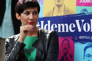 krajskelisty.cz/praha/27019-jak-chapou-problemy-ve-spolecnosti-damy-se-stribrnou-lzickou-v-ustech-komentar-stepana-chaba.htm