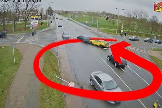 Splašený mustang řádil na křižovatce v Hradci, čerstvý padesátník neukočíroval narozeninový dárek - Novinky