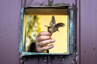 FOTO: Jan Handrejch z Novinek oceněn v prestižní soutěži Czech Press Photo - Novinky