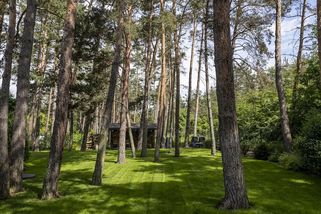 Inspirativní příběh lesní zahrady - Novinky