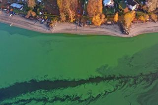 „Zelené“ Lipno je na tom špatně a apartmány to ještě zhorší, říká vědec - Seznam Zprávy