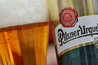 Plechovka plzně stojí v Německu až o 23 korun méně než v Česku - Novinky