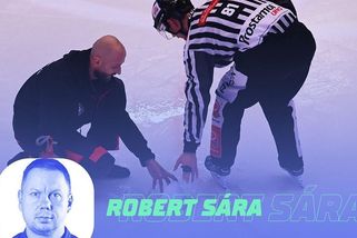 GLOSA: V českém hokeji tají ledy, veselme se - Sport.cz