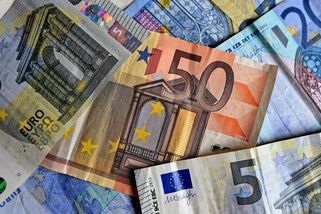 S eurem by byla inflace a zadlužování Česka vyšší – faei.cz