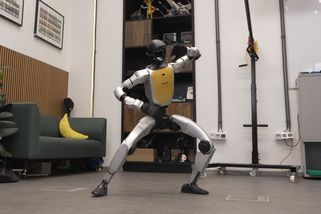 Čeští studenti pitvají humanoida z Číny. Karel tancuje a předvádí bojové umění