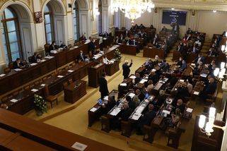 Poslanecký klub znamená finanční i politické výhody - Novinky