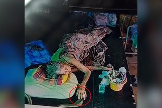 Kobra v Thajsku několikrát uštkla spící ženu. Útok zachytila kamera - Novinky