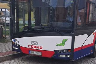 Rozzuření cestující poničili v Olomouci tramvaj a autobus, hrozí jim vězení - Novinky