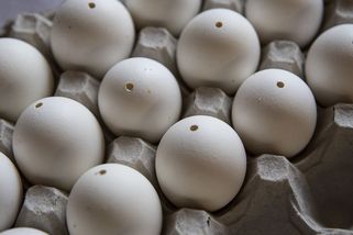 Bílá, nebo šedá? Velikonoce mění zájem o vajíčka. V Česku bude jedné barvy víc - Seznam Zprávy