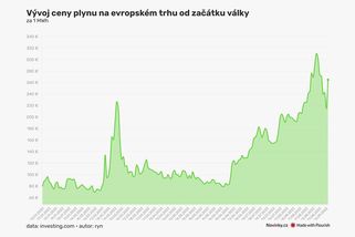 Cena plynu prudce vystřelila téměř o 30 procent - Novinky