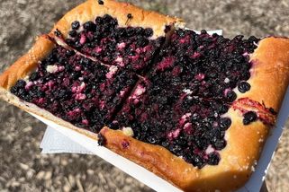 Borůvkobraní v Borovanech přilákalo davy. Domů jsme vyráželi s plným břichem a prázdnou peněženkou - Médium.cz