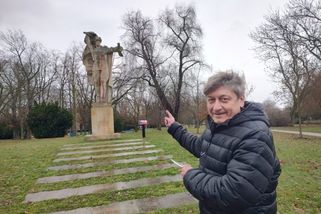 Hlasování o odstranění sochy okupanta v Litoměřicí...