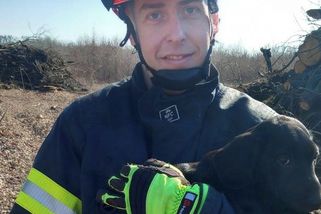 Pes v lese u Brna zalezl pod hromadu dřeva. Při záchraně pokousal hasiče - Novinky