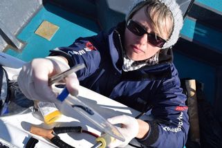 Uvázlého keporkaka asi doběhla zvídavost. Čas zvážit eutanázii, míní vědkyně - Seznam Zprávy