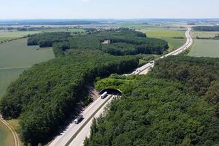 Cesta pro losy či medvědy u Jablunkova stále není. Stát ji slíbil už před 19 lety - Novinky