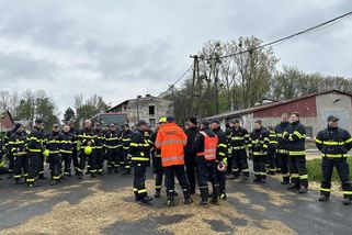 V Rychvaldu začala likvidace 15 tisíc krůt s ptačí chřipkou - Novinky