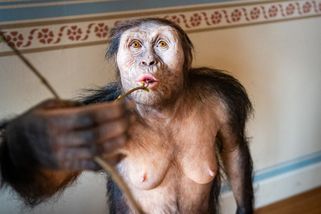 Sen diktátorů se zhmotnil na průčelí Národního muz...