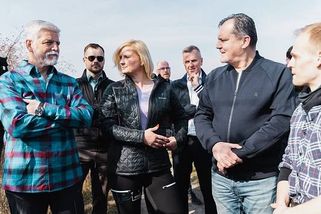 Prezident Petr Pavel zasadil na Netovické stráni slánskou hrušku máslovku