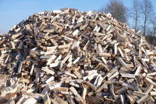 Pouze 5 % lidí zvládne identifikovat skrývající se kočku na obrázku hromady dřevěných špalků