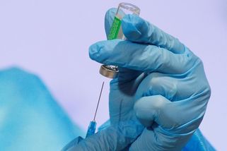 Virus pochází z chovů na jihu Číny, myslí si expert WHO - Novinky