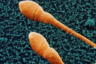 Také mužům „tikají hodiny“