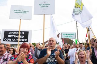 Ukrajina zažaluje Slovensko, Polsko a Maďarsko kvůli obilí - Novinky