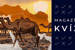 Slepá mapa Blízkého východu: Dokážete určit, kde leží Írán, Bahrajn či Katar? - Seznam Zprávy