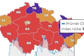 V Česku za čtvrtek přibylo 10 576 prokázaných případů nákazy koronavirem - Novinky